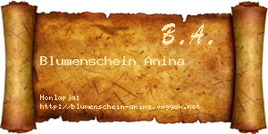Blumenschein Anina névjegykártya